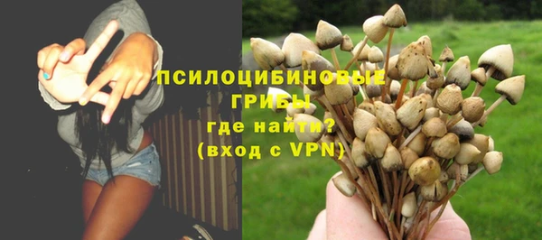 спиды Алзамай
