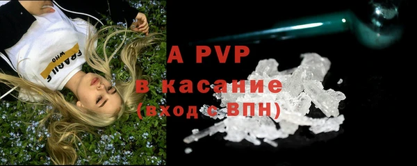 PSILOCYBIN Семикаракорск
