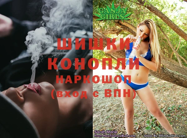 стафф Алексин