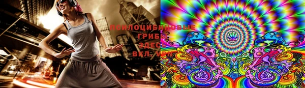 гидра Семилуки