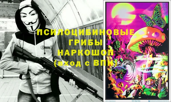 спиды Алзамай