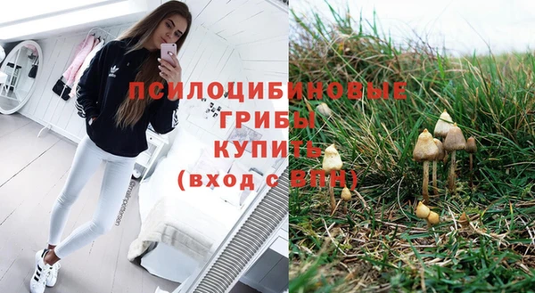 mix Алексеевка